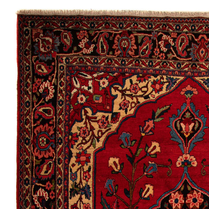 Perserteppich - Nomadic 400 x 228 cm