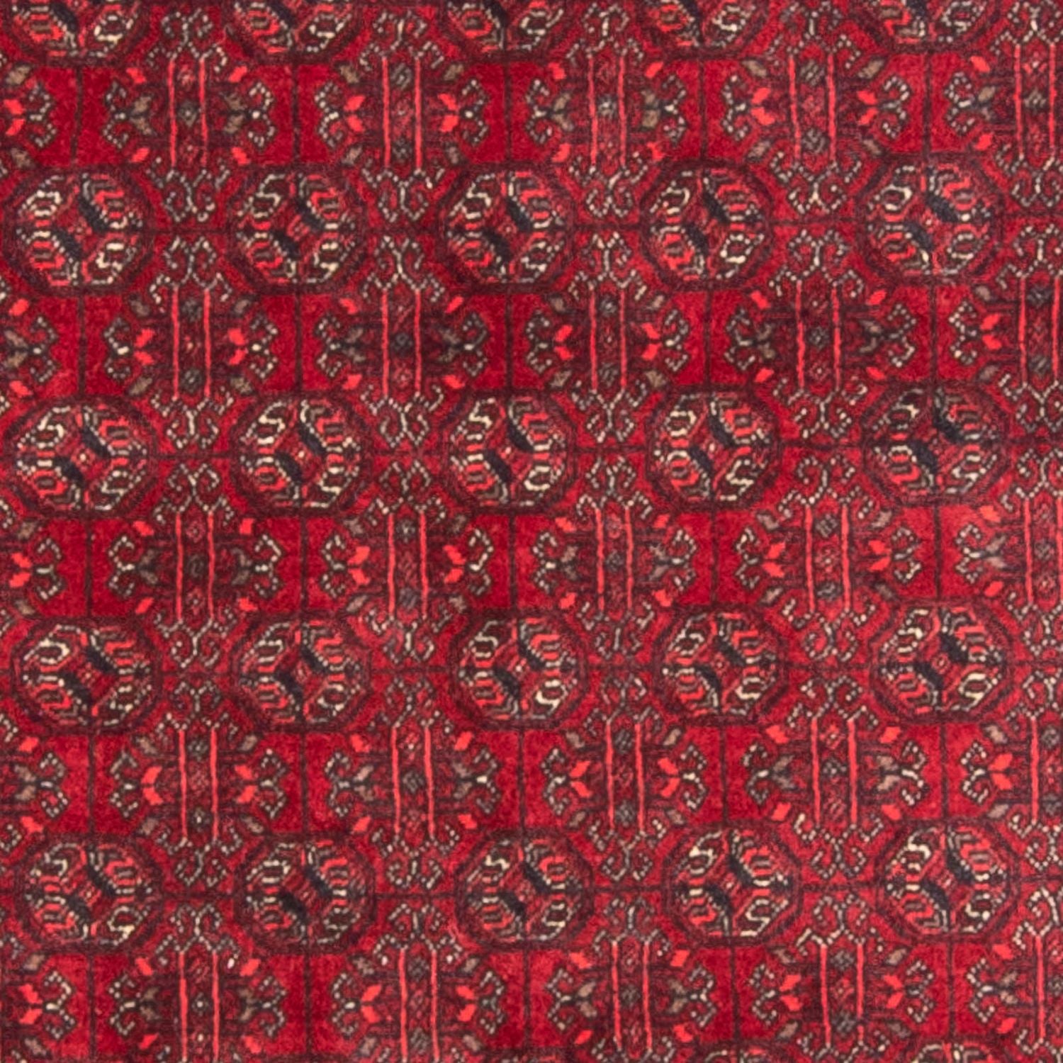 Afghan Teppich - Buchara 196 x 124 cm