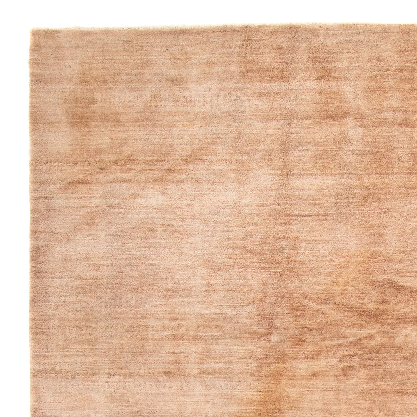 Ziegler Teppich - Modern - 300 x 200 cm - beige