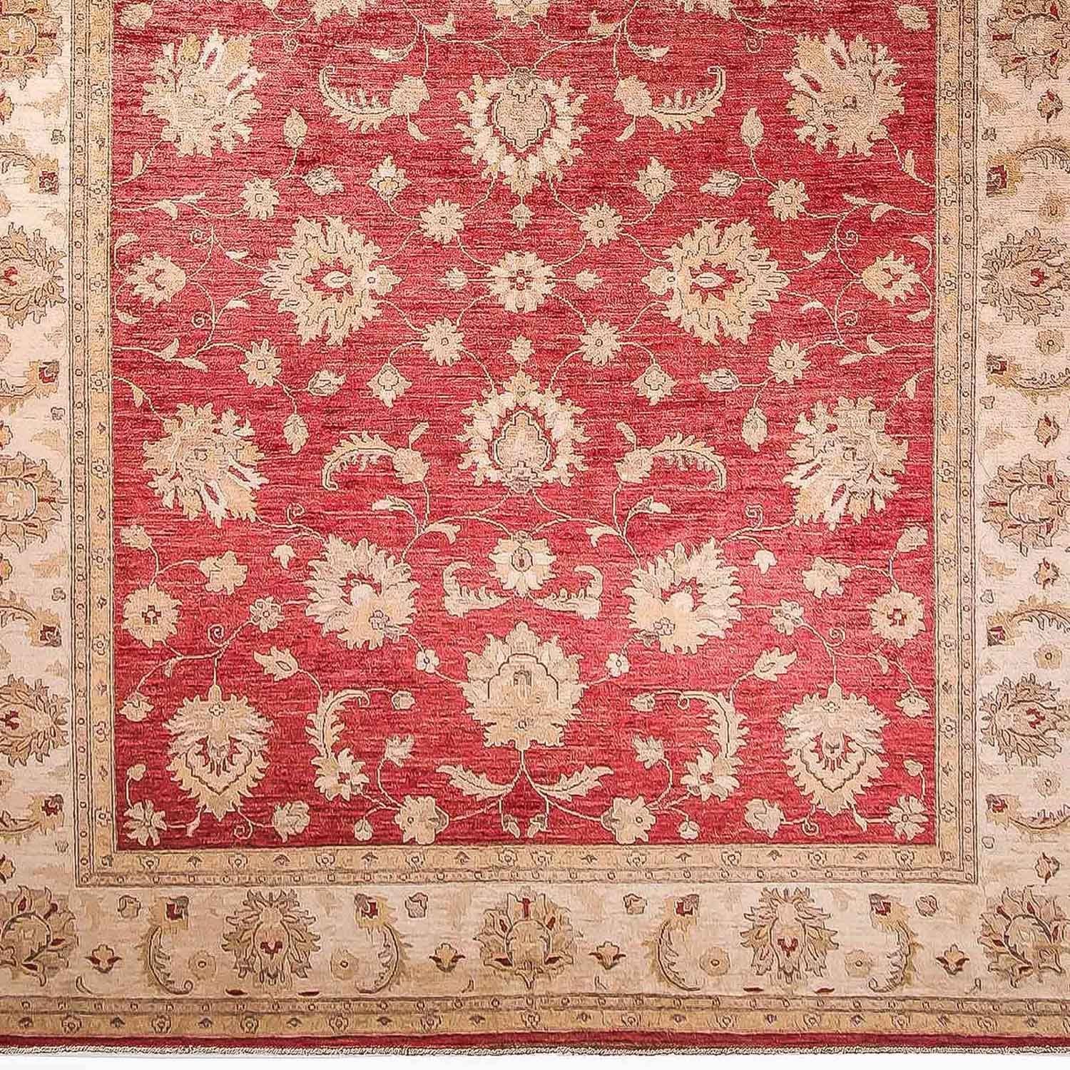 Ziegler Teppich 353 x 277 cm