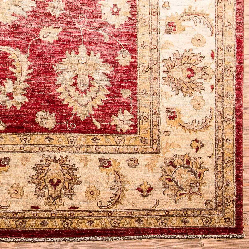Ziegler Teppich 353 x 277 cm