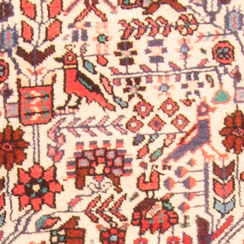 Perserteppich - Nomadic 301 x 169 cm
