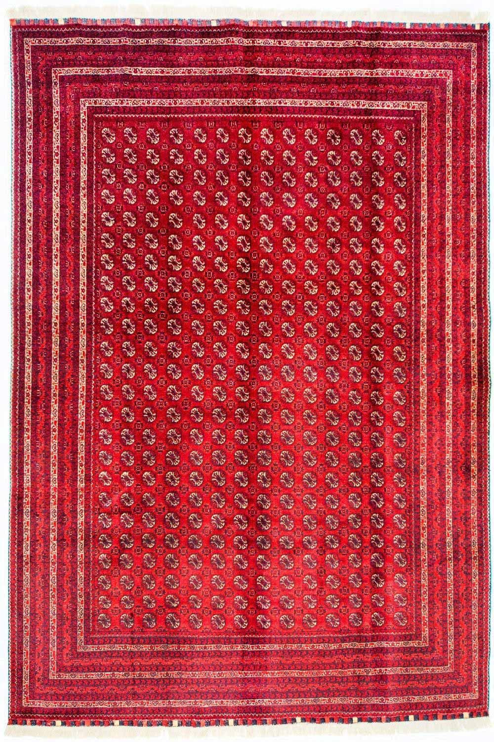 Afghan Teppich - Buchara 300 x 195 cm
