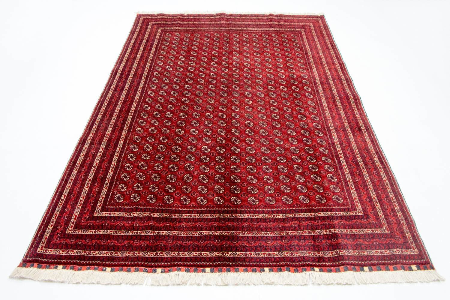 Afghan Teppich - Buchara 300 x 195 cm