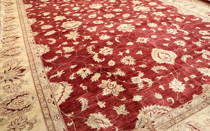 Ziegler Teppich 567 x 421 cm