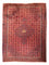 Perserteppich - Nomadic 290 x 203 cm