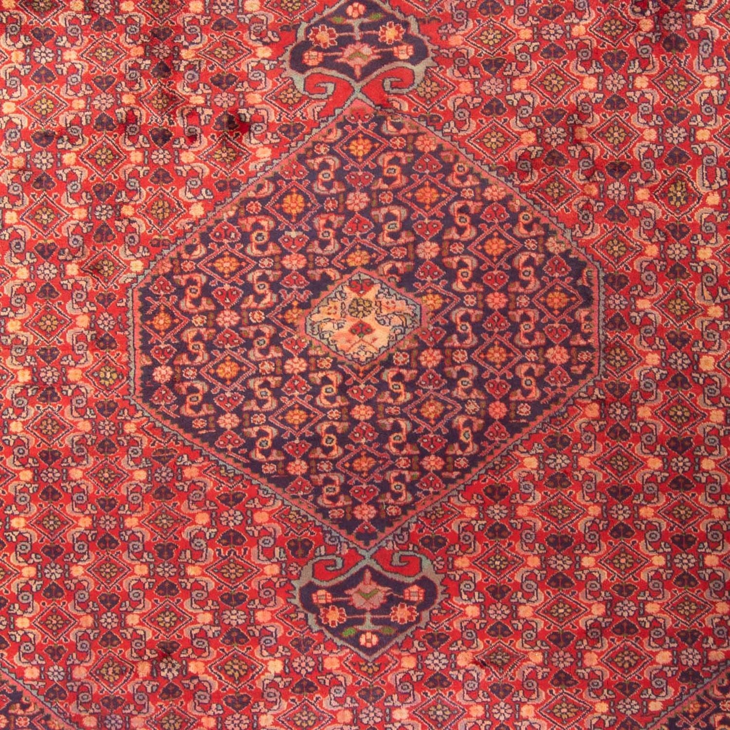 Perserteppich - Nomadic 290 x 203 cm