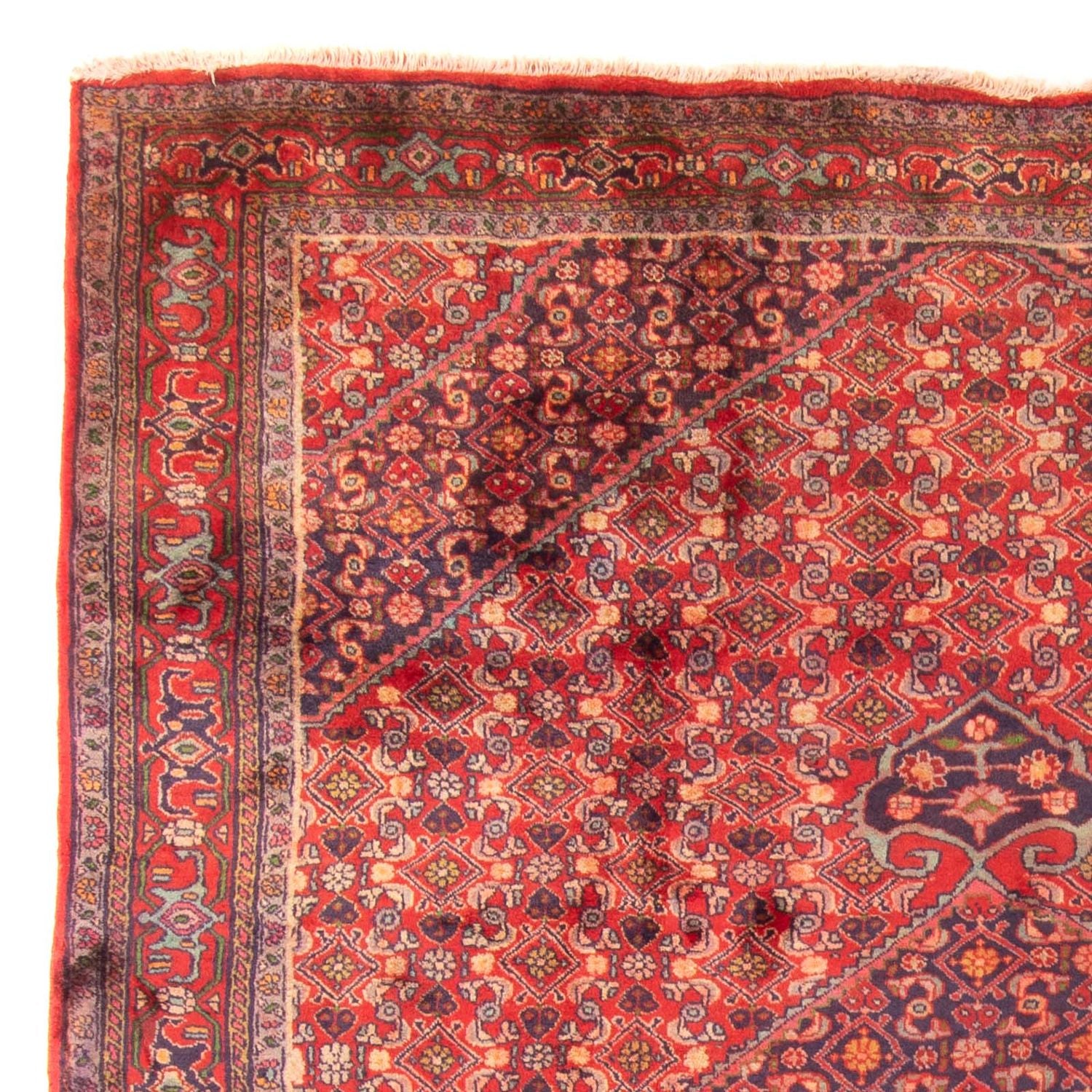 Perserteppich - Nomadic 290 x 203 cm