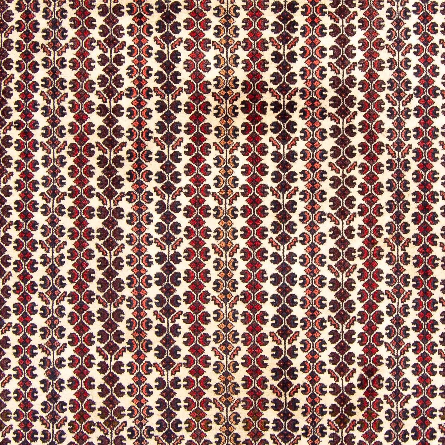Perserteppich - Nomadic 310 x 210 cm - braun