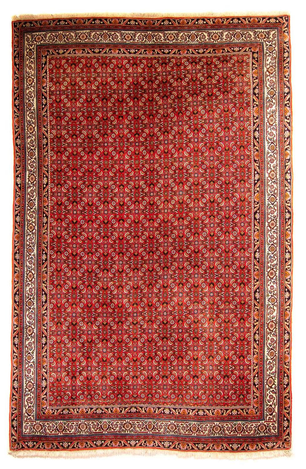 Perserteppich - Bidjar 300 x 204 cm