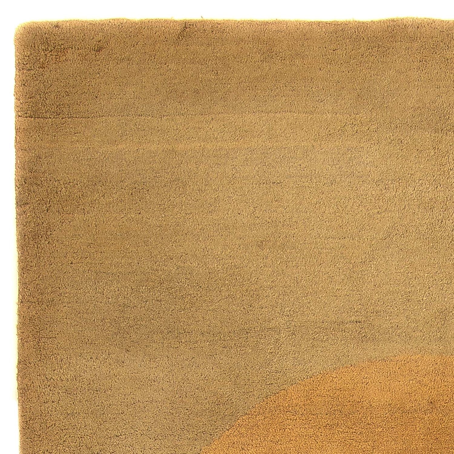 Wollteppich 240 x 156 cm Teppich Wohnzimmer