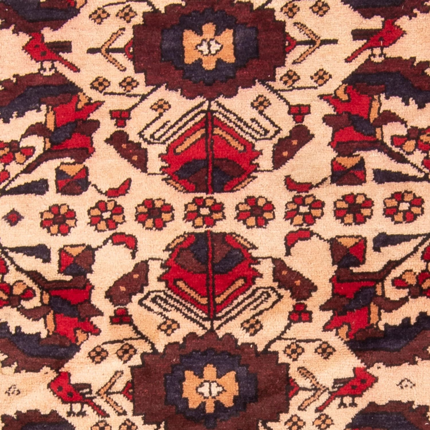 Läufer Belutsch - 230 x 93 cm - beige