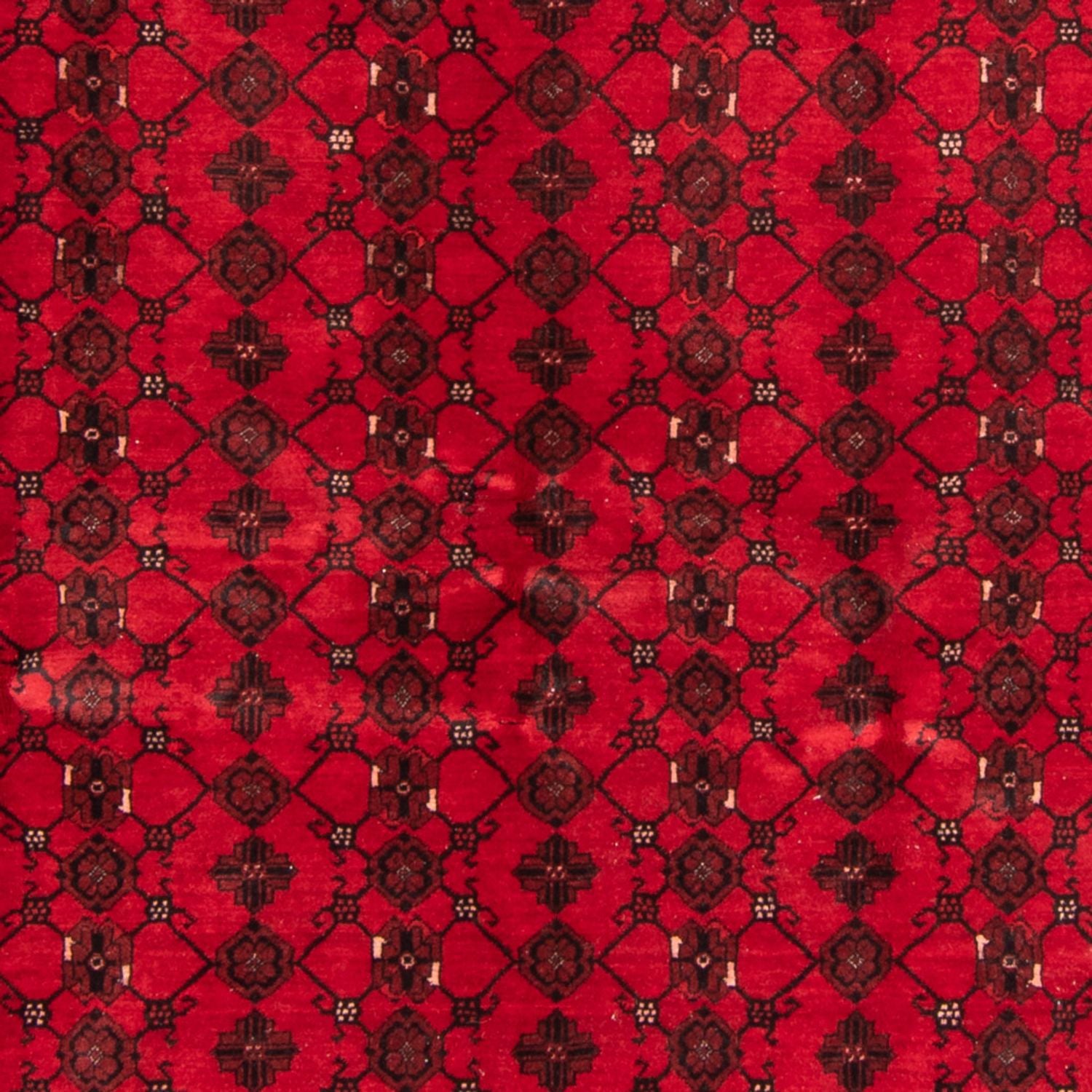 Turkaman Teppich - 257 x 178 cm - rot