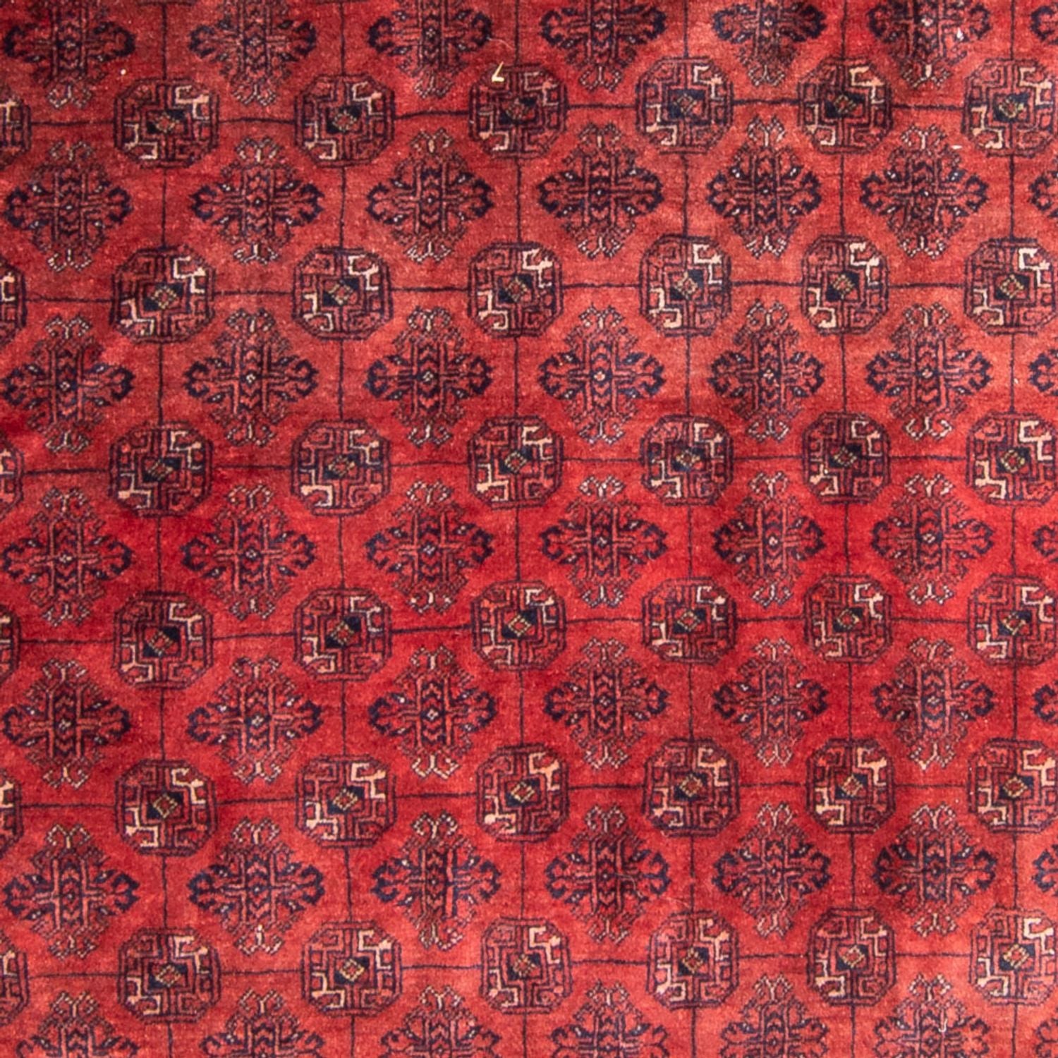 Turkaman Teppich - 305 x 202 cm - rot