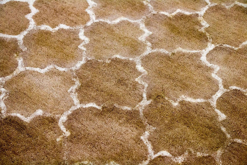 Designer Teppich 230 x 162 cm Teppich Wohnzimmer