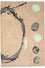Designer Teppich 179 x 121 cm Teppichbrücke