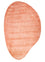 Designer Teppich sonderform  - 170 x 257 cm - orange
