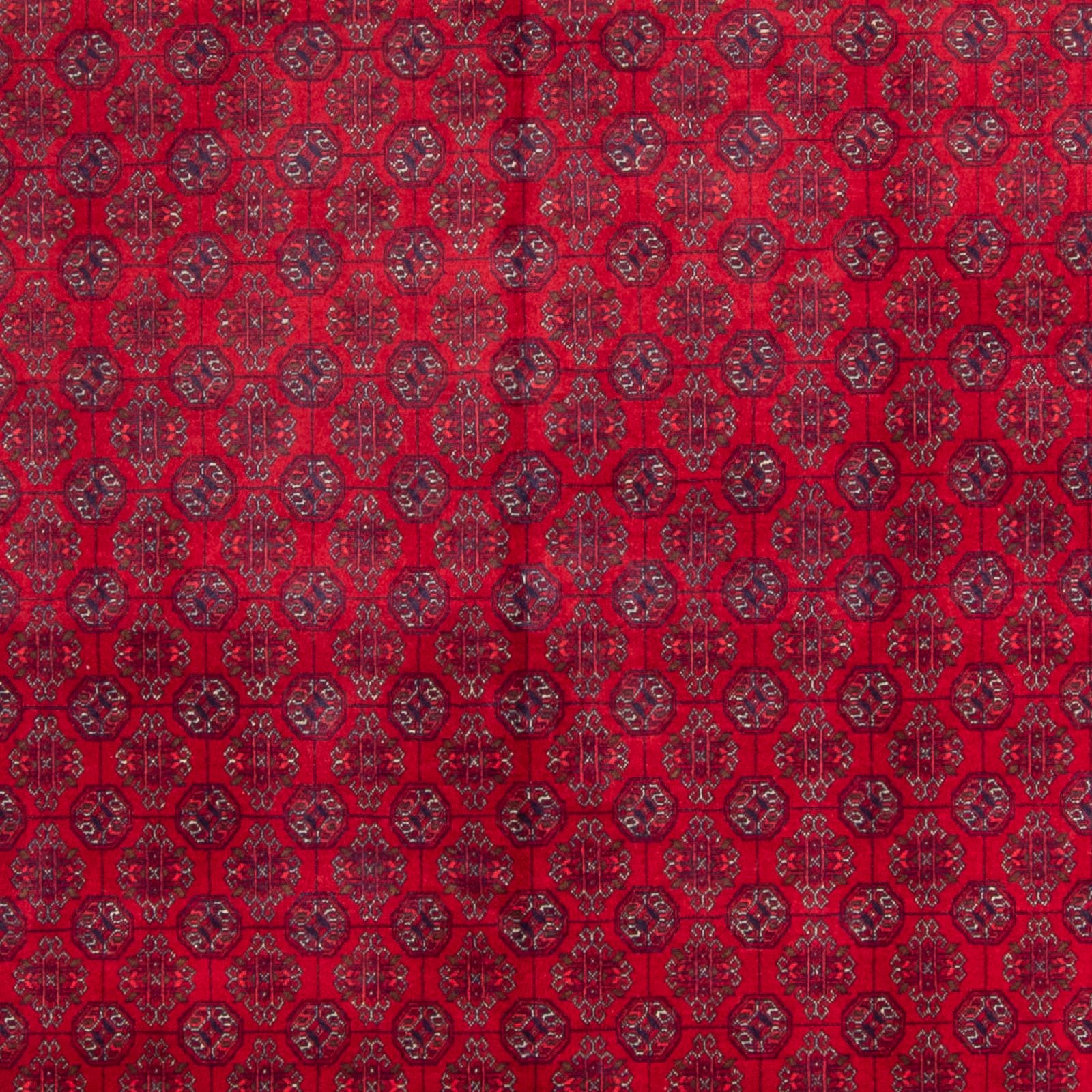 Afghan Teppich - Buchara - 340 x 240 cm - rot