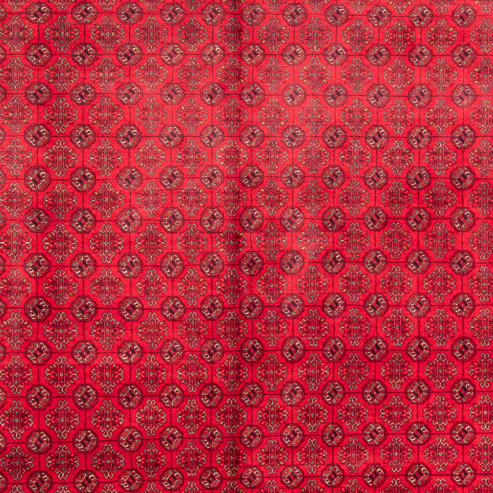 Afghan Teppich - Buchara - 385 x 300 cm - rot