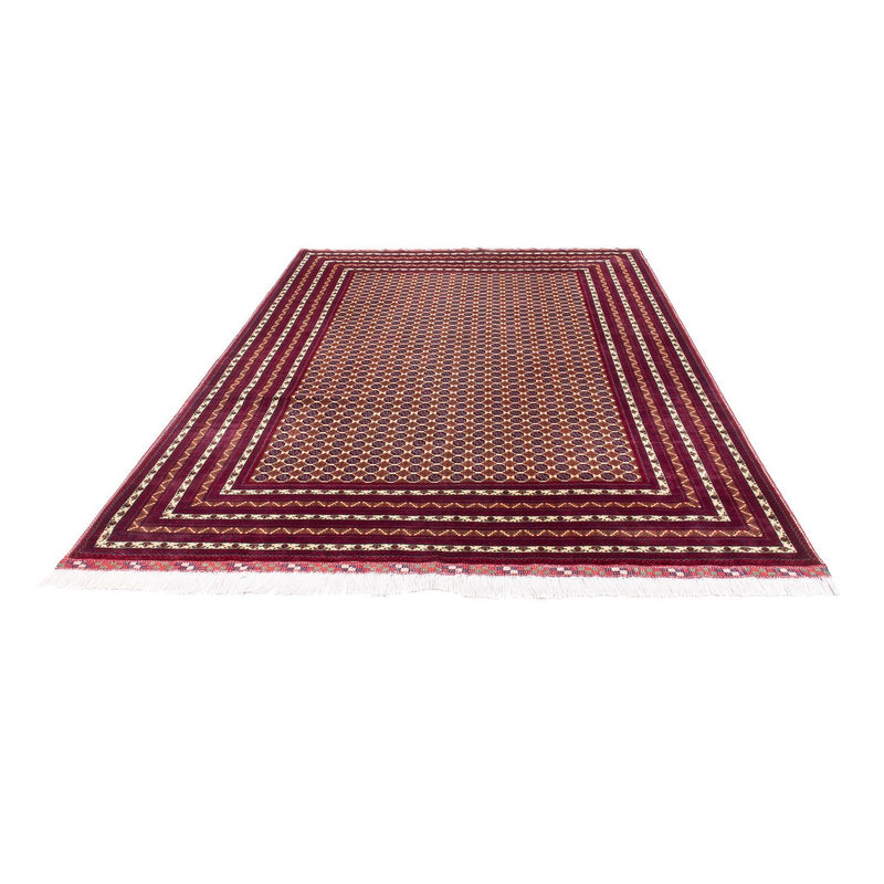 Afghan Teppich - 297 x 198 cm - beige