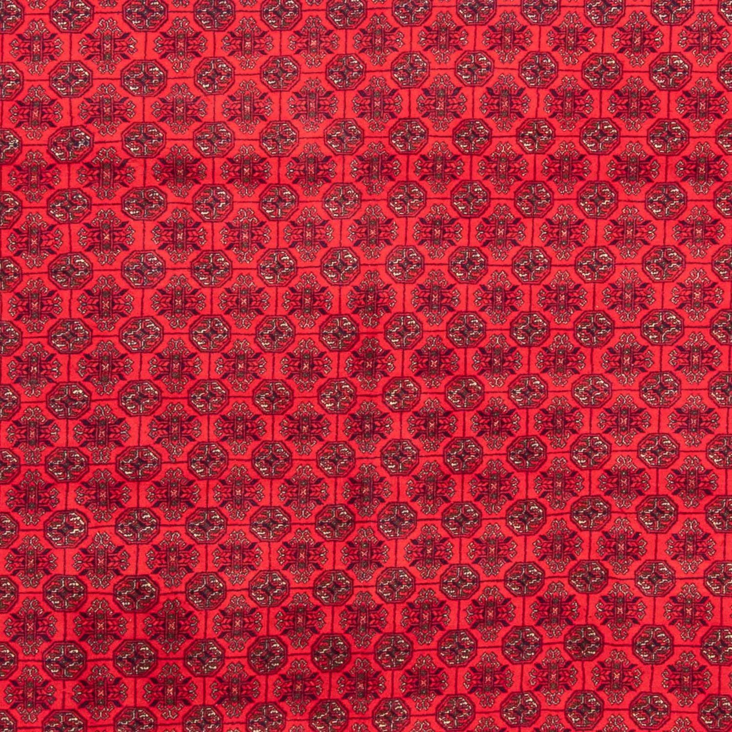 Afghan Teppich - 289 x 200 cm - rot