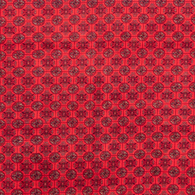 Afghan Teppich - 289 x 200 cm - rot