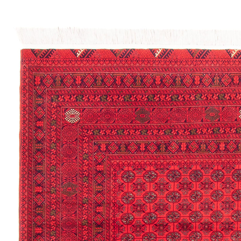 Afghan Teppich - 289 x 200 cm - rot