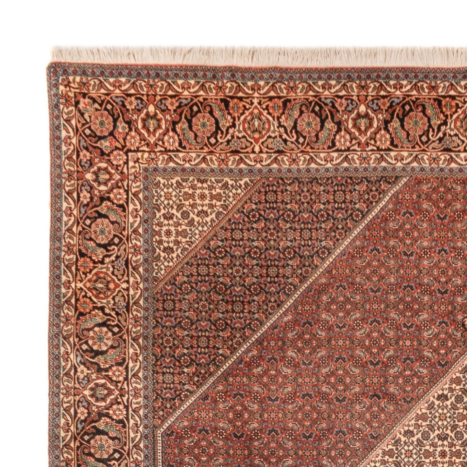 Perserteppich - Bidjar - Royal - 300 x 255 cm - rost