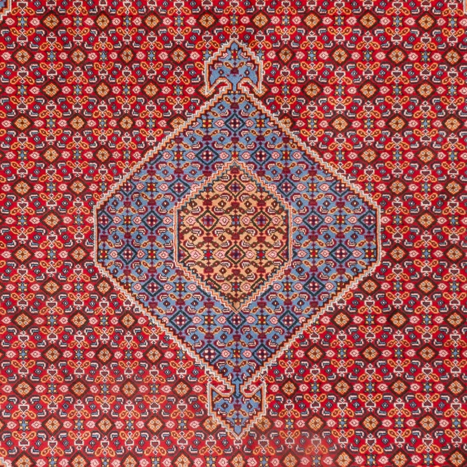 Perserteppich - Nomadic - 300 x 205 cm - rot
