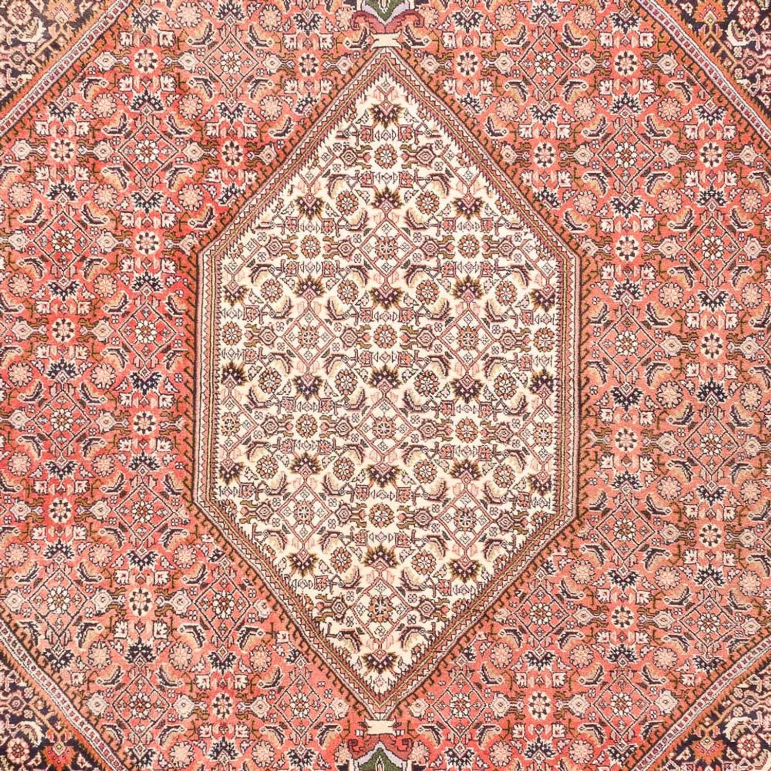 Perserteppich - Bidjar - 287 x 198 cm - hellrot