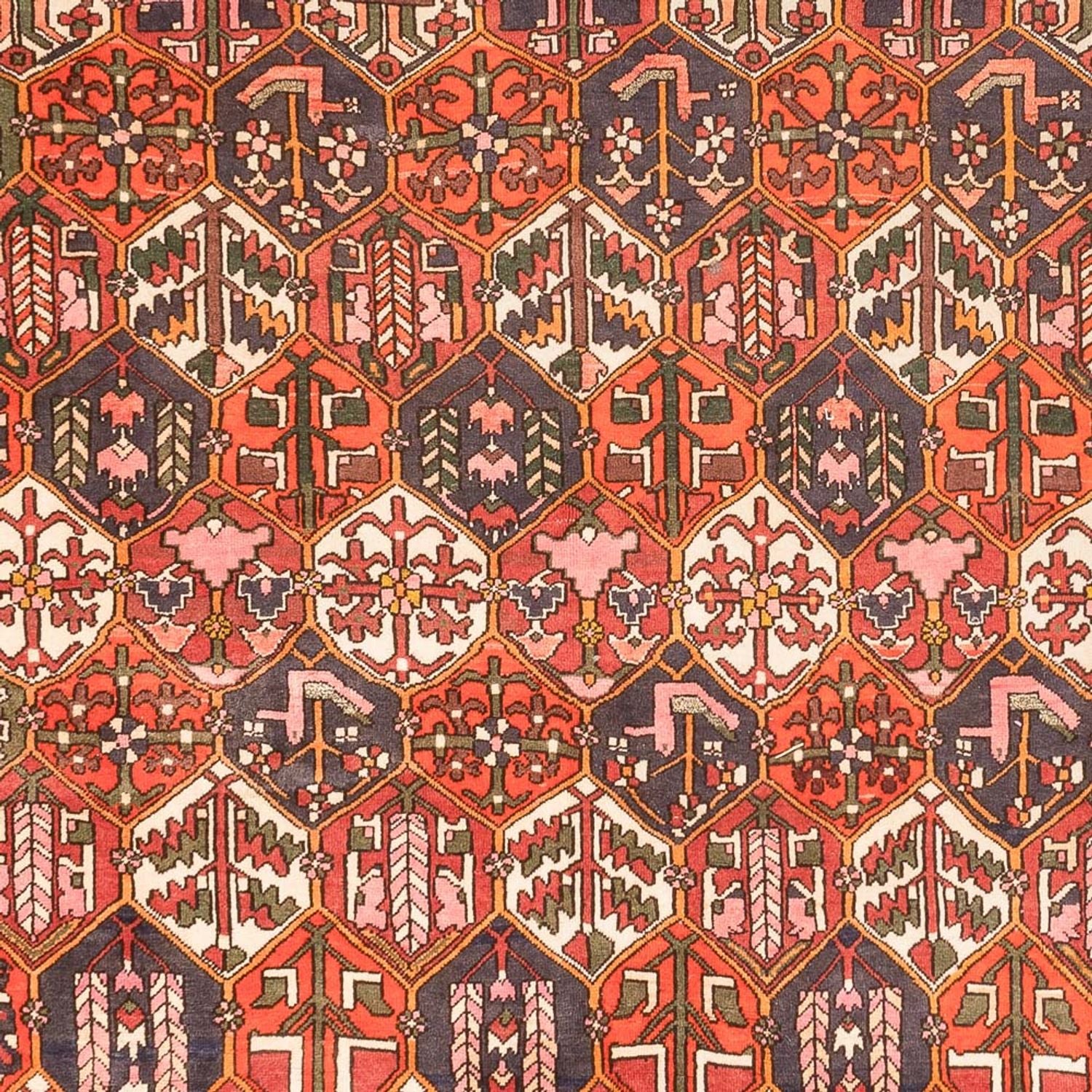 Perserteppich - Nomadic - 310 x 210 cm - terrakotta