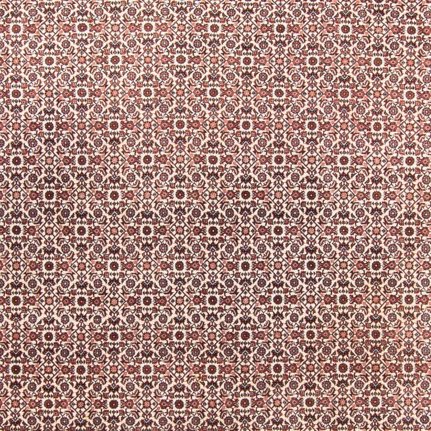 Perserteppich - Bidjar - 340 x 250 cm - beige