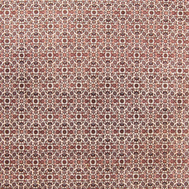 Perserteppich - Bidjar - 340 x 250 cm - beige