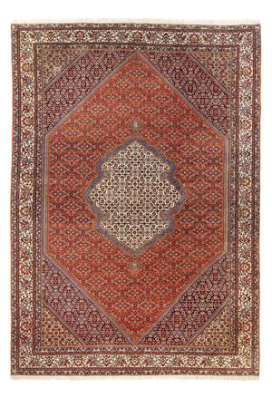 Perserteppich - Bidjar - 312 x 205 cm - orange