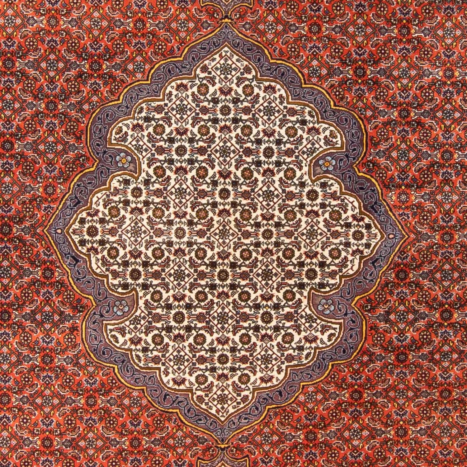 Perserteppich - Bidjar - 312 x 205 cm - orange