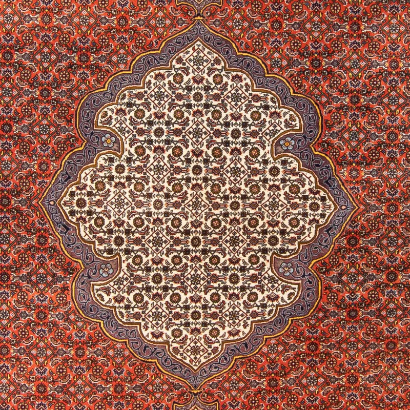 Perserteppich - Bidjar - 312 x 205 cm - orange