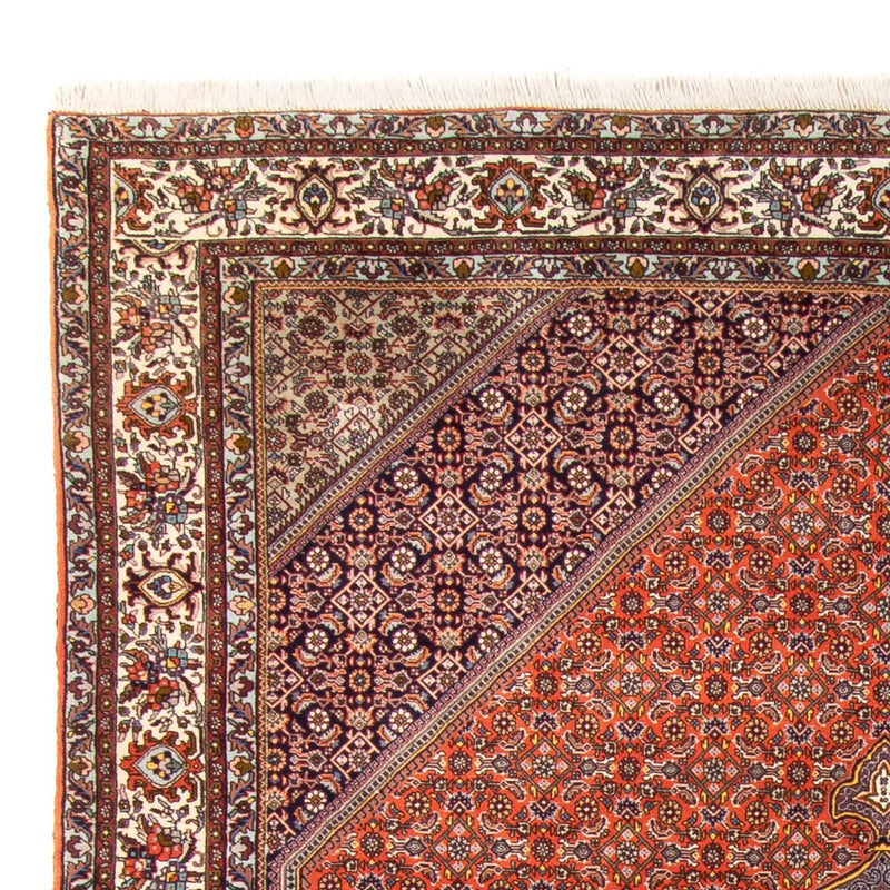 Perserteppich - Bidjar - 312 x 205 cm - orange