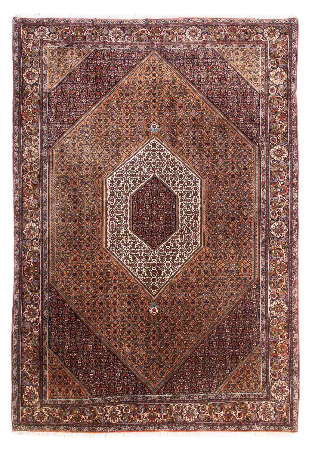 Perserteppich - Bidjar - 305 x 210 cm - braun