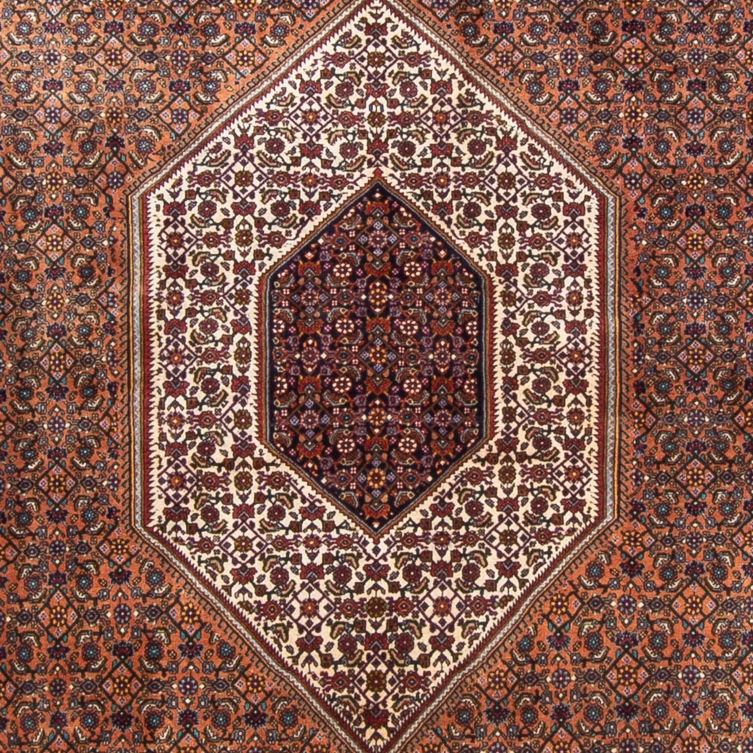 Perserteppich - Bidjar - 305 x 210 cm - braun