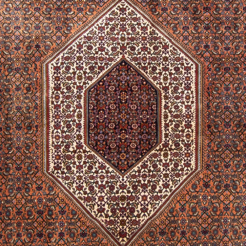 Perserteppich - Bidjar - 305 x 210 cm - braun