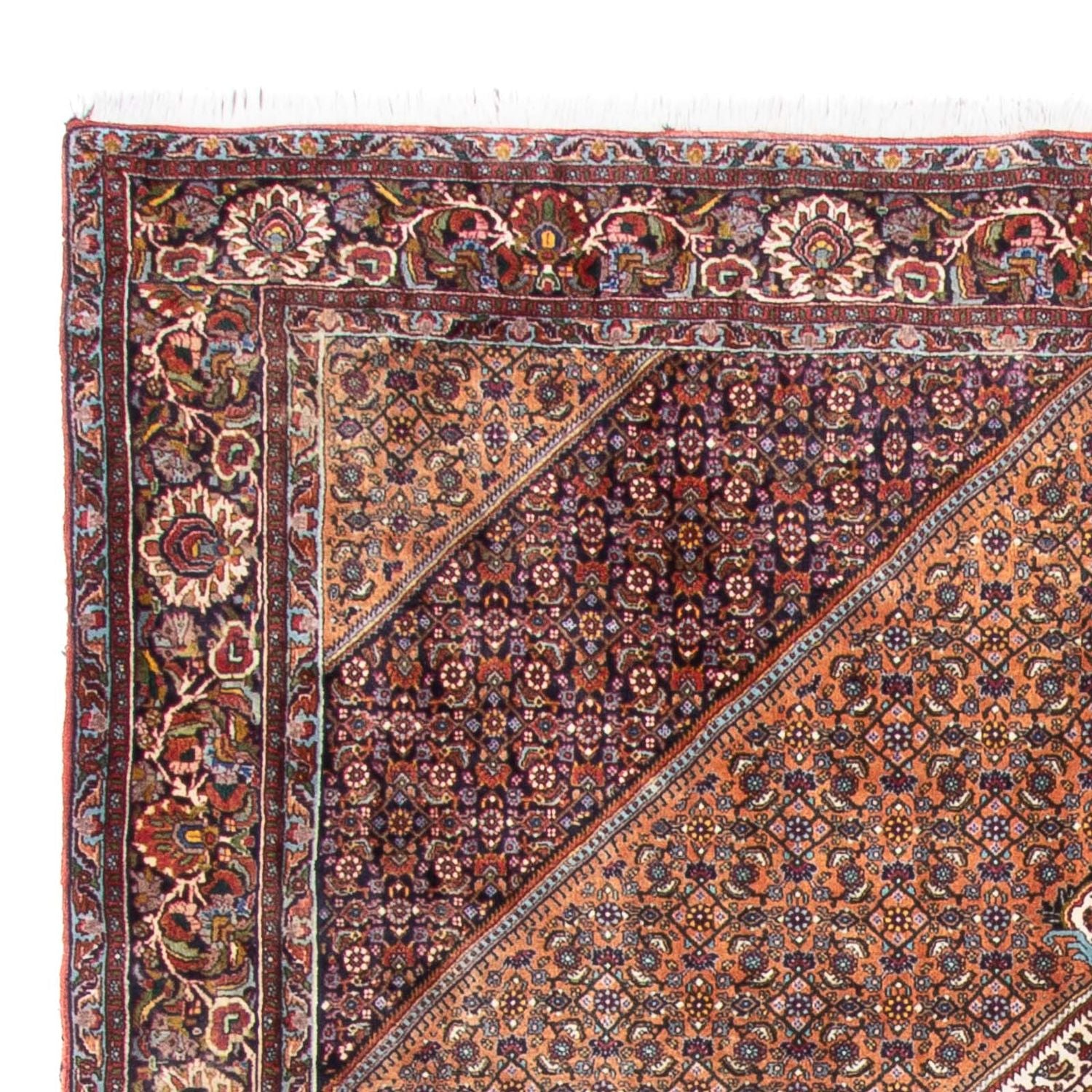 Perserteppich - Bidjar - 305 x 210 cm - braun