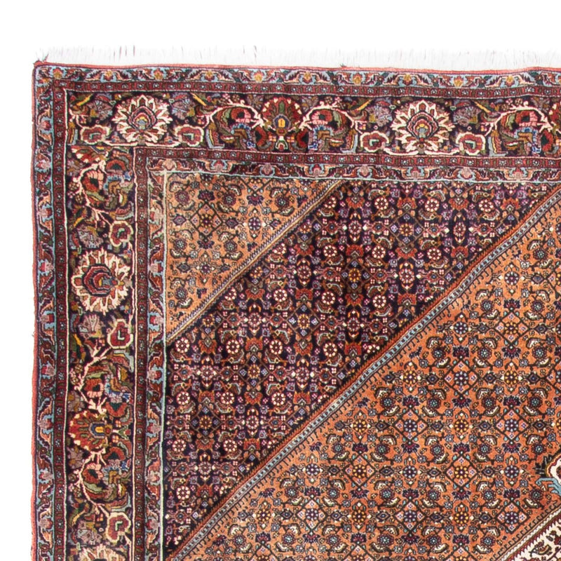 Perserteppich - Bidjar - 305 x 210 cm - braun