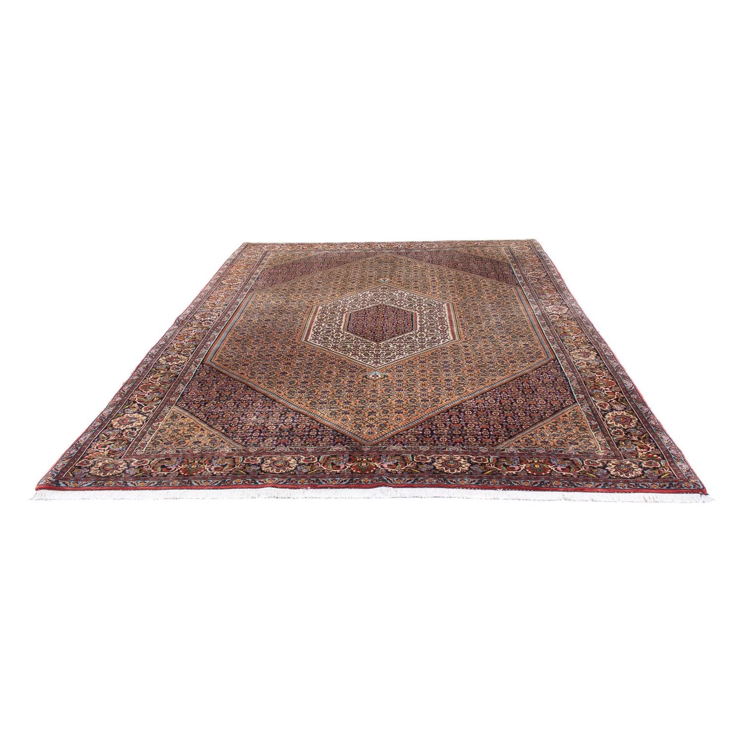 Perserteppich - Bidjar - 305 x 210 cm - braun
