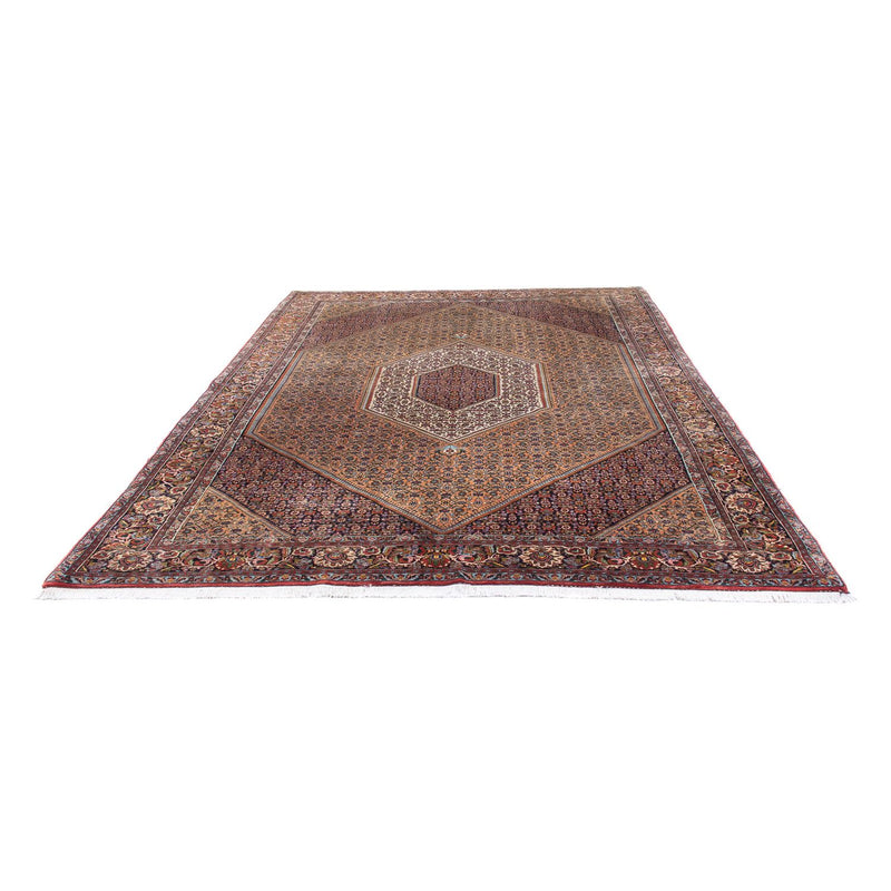 Perserteppich - Bidjar - 305 x 210 cm - braun