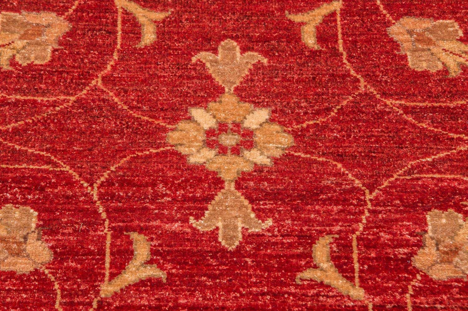 Ziegler Teppich 301 x 241 cm