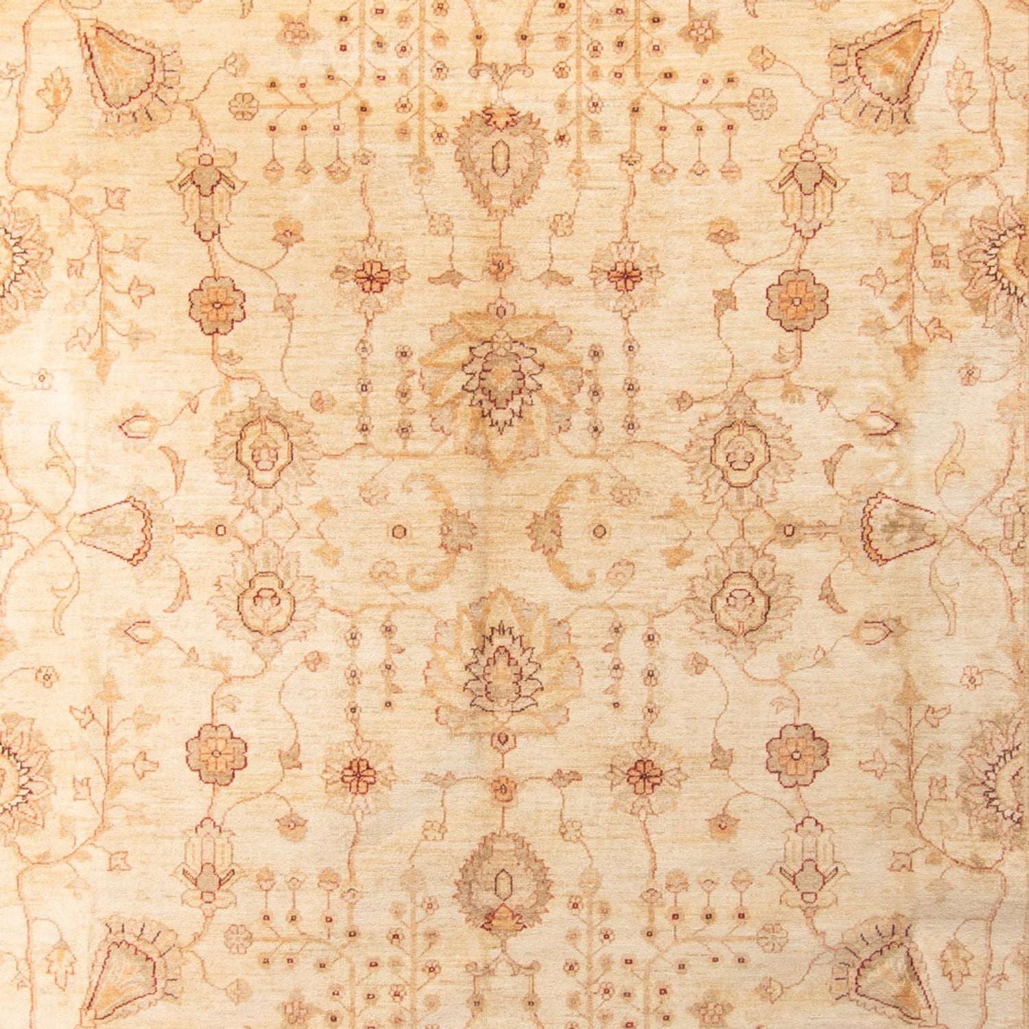 Ziegler Teppich 406 x 288 cm - beige