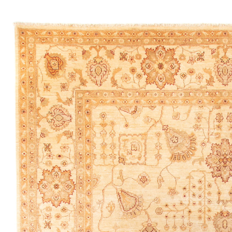 Ziegler Teppich 406 x 288 cm - beige