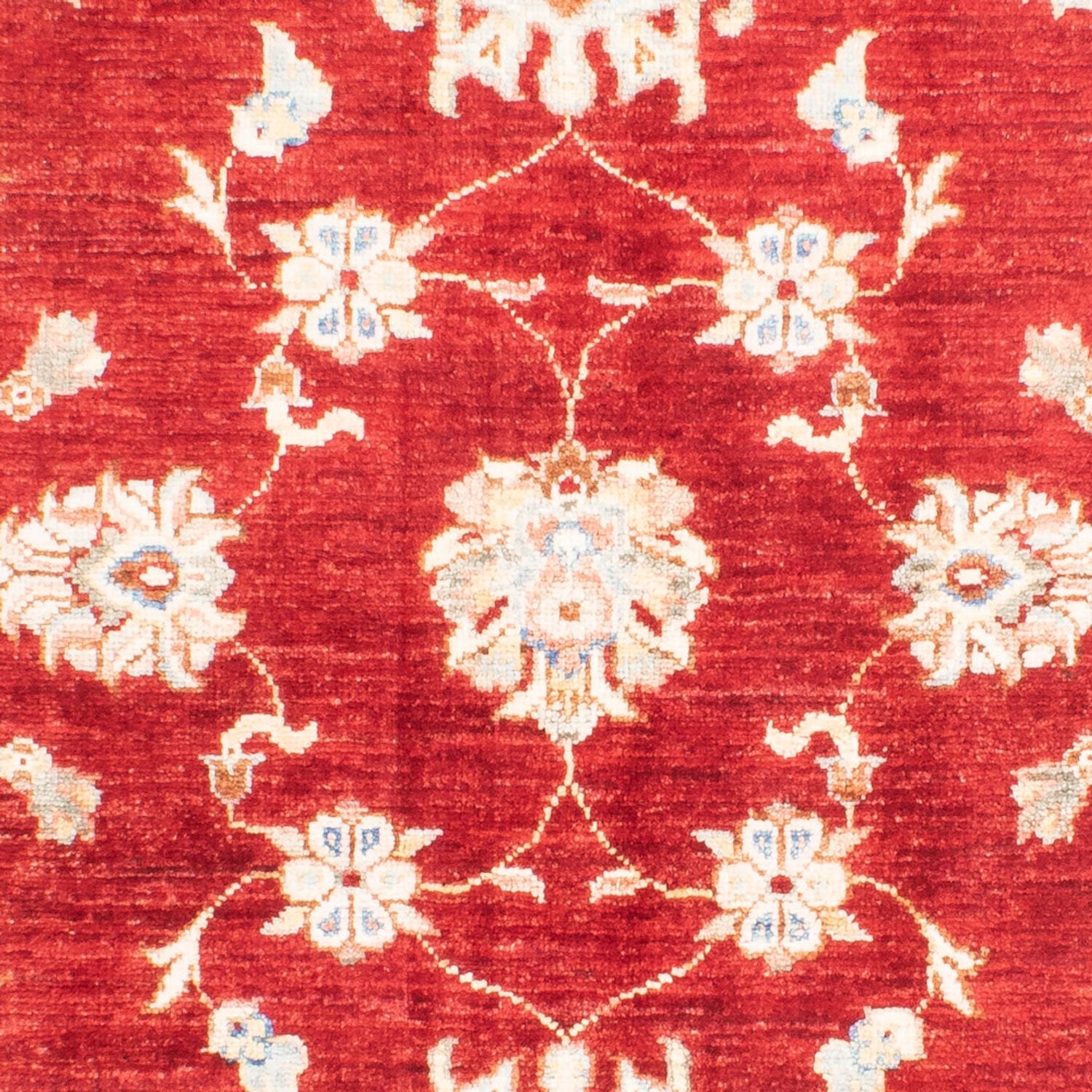 Ziegler Teppich - 155 x 105 cm - rot