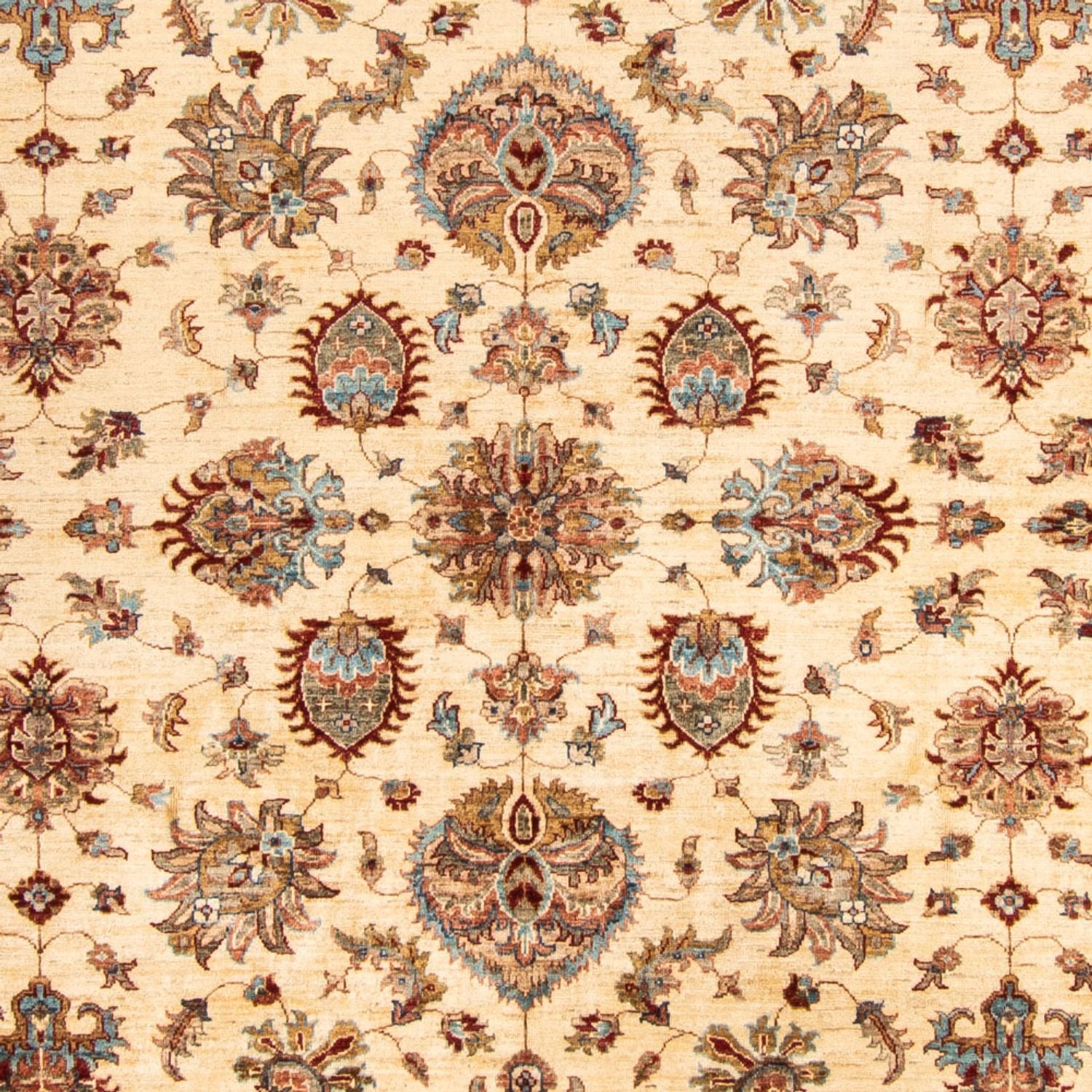 Ziegler Teppich - 306 x 254 cm - beige