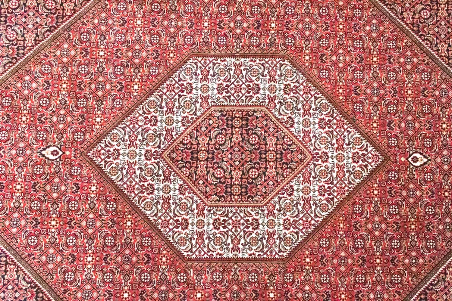 Orientteppich - Bidjar - Indus 286 x 208 cm